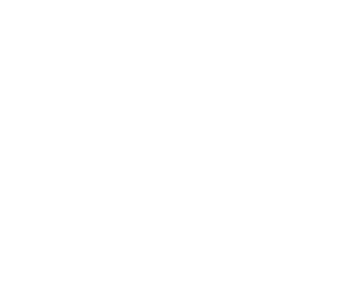 logo donotblink